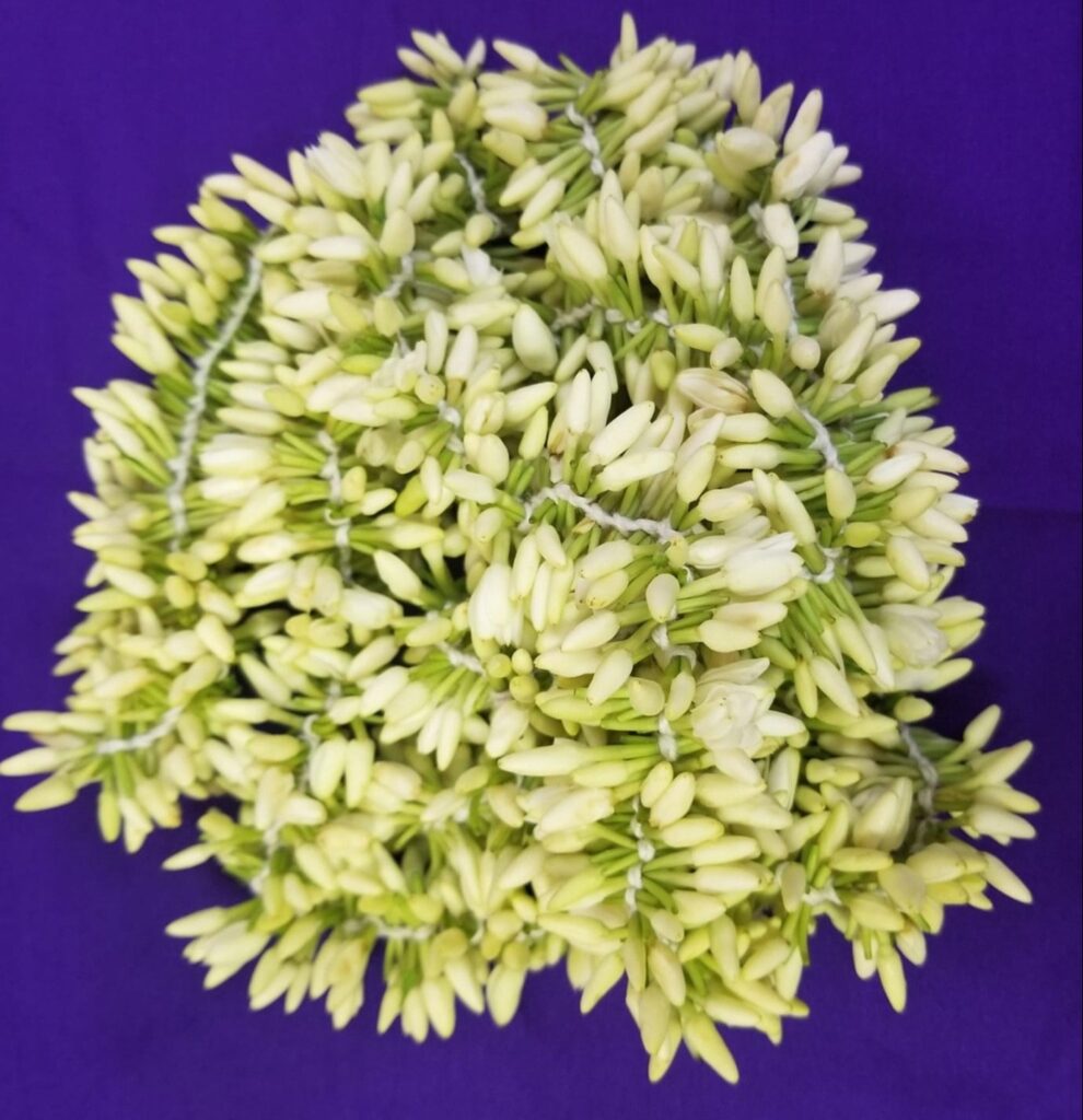 Mullai Flower