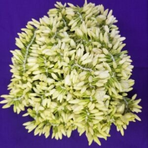 Mullai Flower