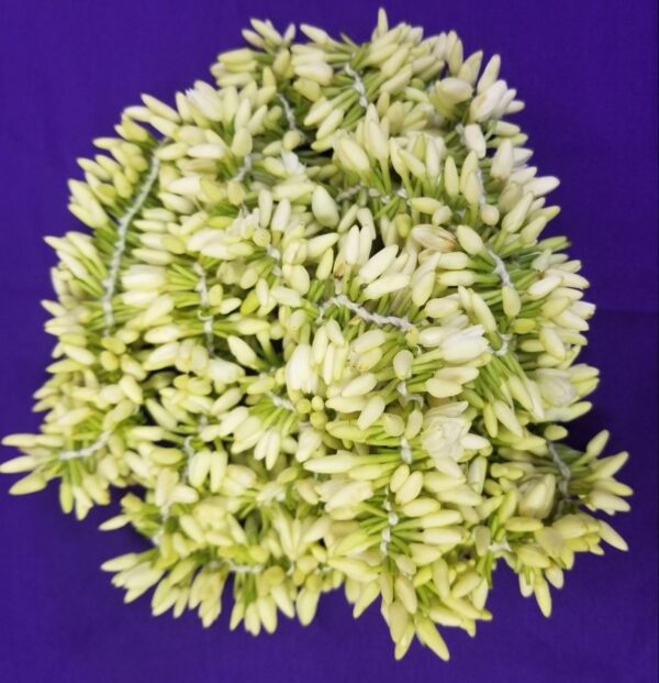 Mullai Flower