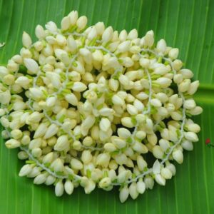 Malli Flower