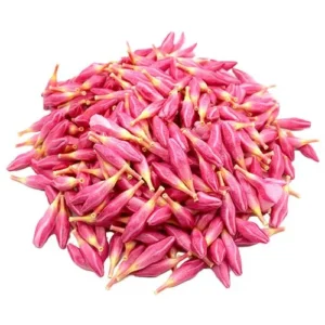 Arali Flower