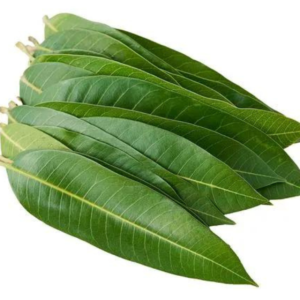 Mango Leaves