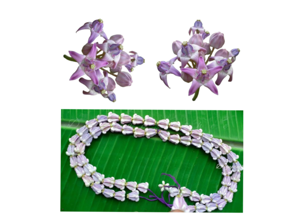 Erakum Flowers