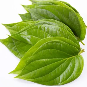 Betel leave